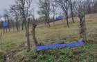 Teren intravilan de vanzare 800 m , Livezi (General Berthelot) - 1