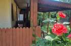 Casa si teren Comuna Fagetelu - 3