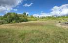 Teren extravilan de vanzare in satul Breb,Maramures - 3