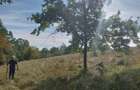 Teren de 10000 mp, în Comorâște - 3