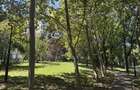 Inchiriere Apartament 4 Camere Doamna Ghica Tei - 9