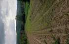 Teren agricol sat.Voroveni - 7