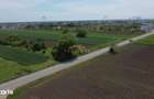 Teren pentru Viitoarea Ta Casa 431 mp pe strada Codrului/Berceni - 1