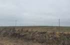 Teren agricol de vanzare, 60000 mp , Limanu- Constanta - 1