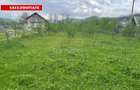 Teren Intravilan 12500 mp Drajna de Sus - Teisani. - 1