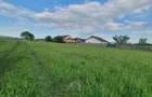 Teren rezidential Bod-Brasov zona de case - 1