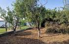 Particular: 1000mp teren deschidere lac Tasaul cu casa veche - 7