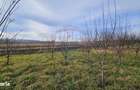 Teren extravilan 10,791mp Falticeni / Strada DJ209A, Opriseni