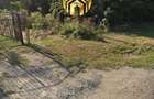 Teren Intravilan 647mp in Saftica Balotesti | 100m de DN1