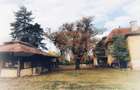De vanzare conac boieresc, anul 1880, 3 ha teren, 1200 mp co - 9