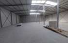 Ovidiu, parc industrial, constructie 2025, 120-1160 mp. - 5