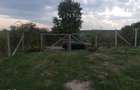 3,5 ha teren Vaculesti - 3