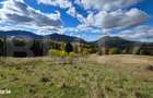 Teren 1,5 hectare - la Piatra Fantanele - 5