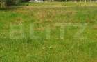 Teren de vanzare, 15.180 mp (9943 mp intravilan), zona Saru Dornei - 1