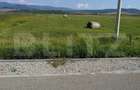 Teren extravilan, Livezile, 1.83 hectare