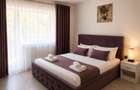 Garaoniera/Studio- REGIM Hotelier - CENTRAL - 4
