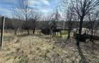 Teren Parcelabil I 11400 MP I Corpadea - 13