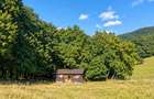 Vânzare teren extravilan pădure+ Pășune 17 000 mp Covasna - 2