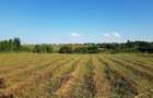 Teren intravilan Adunatii Copaceni | 3.399 mp | Ideal investitie - 8