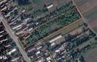 Teren intravilan 5.651 mp cu casa ?i anexa Mar?a, Giurgiu - 1