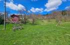 Oportunitate de Investi?ie: Teren Intravilan 2000 mp in Valea Doftanei - 6