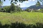 Teren 1350mp - Borca - poaiana Sabasei -Intravilan
