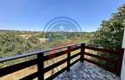 Vila cu 6camere de vanzare in Carcea/Dolj - 10
