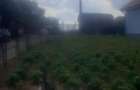 Teren intravilan de vanzare, 781 mp, 24 km de Oradea - 6
