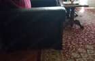 Vand apartament 2 camere bvd. Nicolae Titulescu - 6