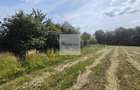 Teren de 11.000 mp cu casa si teren agricol | La 40 km de Bucuresti | - 15