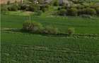 Ferma de vanzare in localitatea Bestepe - 4