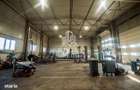 HALA INDUSTRIALA DE VANZARE CRISTUR (Hunedoara Deva) - 2