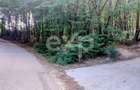 TEREN STEFANESTI(VALEA MARE) ZONA IN PLINA DEZVOLTARE - 1