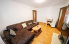 Apartament de vanzare 2 camere Petre Ispirescu - 6