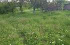 1701 mp teren intravilan in Com. Ghioroc, Arad. - 1