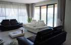 Apartament cu vedere spectaculoasa spre mare si lac - 2