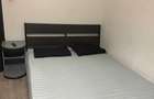 De inchiriat apartament 1 camera Bd. Ion Mihalache - 3