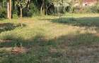 Urziceni, teren casa, zona PREMIUM, 500mp. - 3