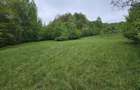 Domeniu Premium 1.7 Ha Intravilan Zarnesti | Liziera Padure - 18