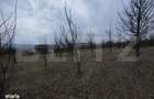 Teren extravilan de vanzare, 900 mp, Bistrita - 2