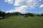 Teren intravilan parcelabil 1000 mp - Rucar, Arges - 1