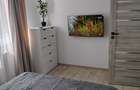 Apartament reamenajat mobilat - 2