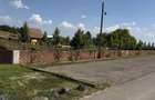 10000 mp2 langa ferma ancutei - 7