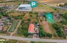 Loc Casa Zerind 1485 Mp - 2