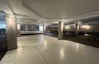 Spatii comerciale si Teren 6000 mp - Baia Mare - 10