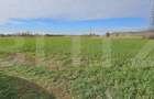 Teren in Razvad intravilan 1400mp cu acces la curent electric - 2