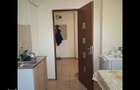 Apartament cu 2 camere decomandat în Brazda lui Novac - 9