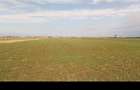 Teren agricol extravilan BorsSantion | CF + cadastru | cota mostenita