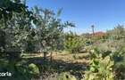 Casa de vanzare, 160 mp, teren 1350 mp, zona IC Bratianu