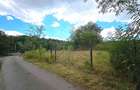Teren intravilan 4.280 mp - Dobreni, Neamt - asfalt, 65 m deschidere - 3